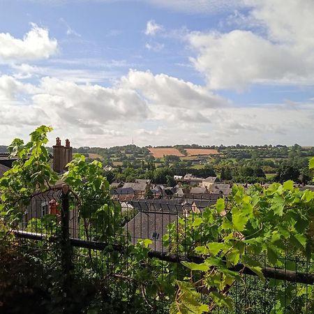 Charming Detached 2 Bedroom Ancient House In Medieval Quarter Of A Small Town In The Pays De La Loire, France Sillé-le-Guillaume Eksteriør billede
