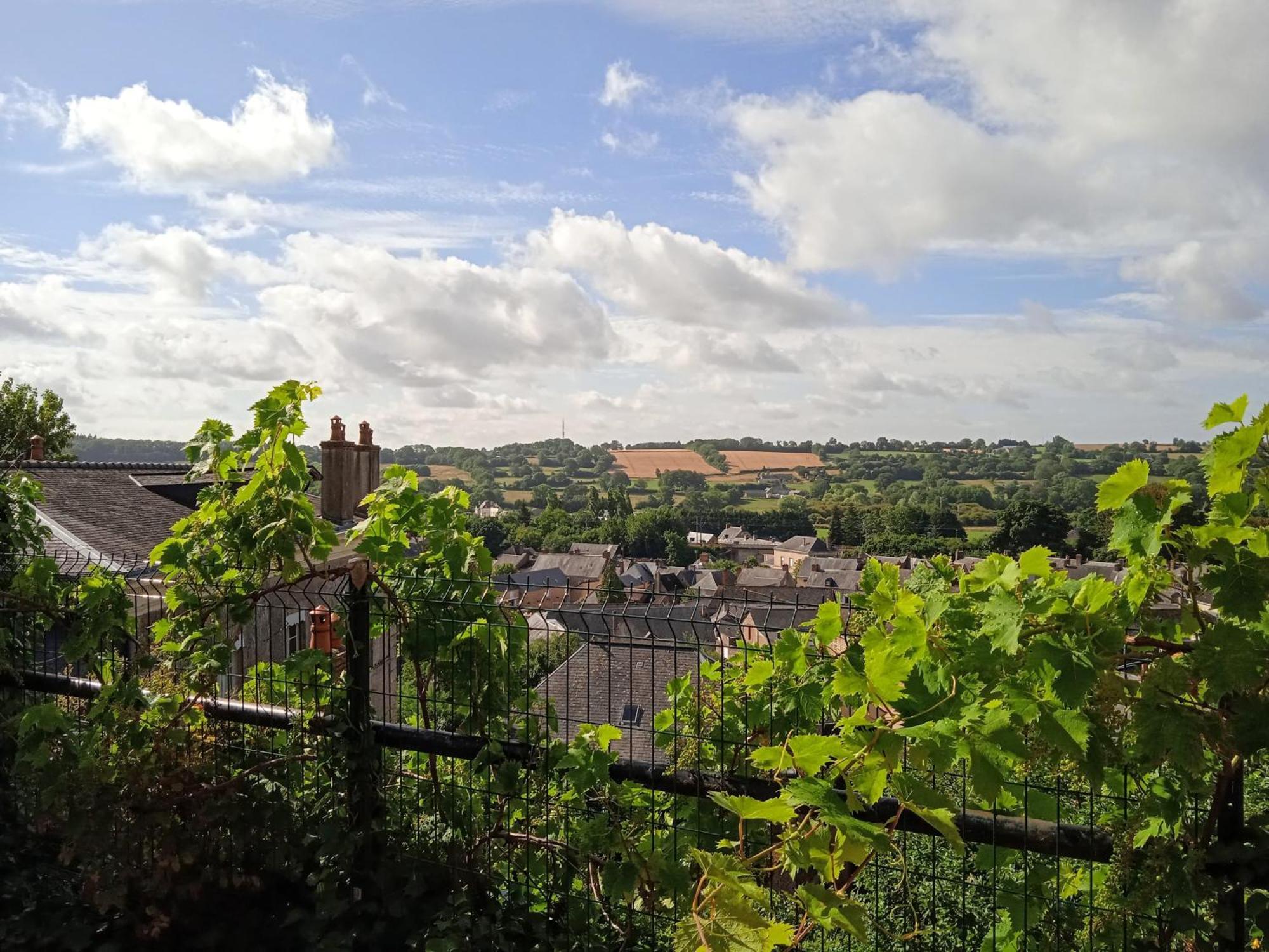 Charming Detached 2 Bedroom Ancient House In Medieval Quarter Of A Small Town In The Pays De La Loire, France Sillé-le-Guillaume Eksteriør billede